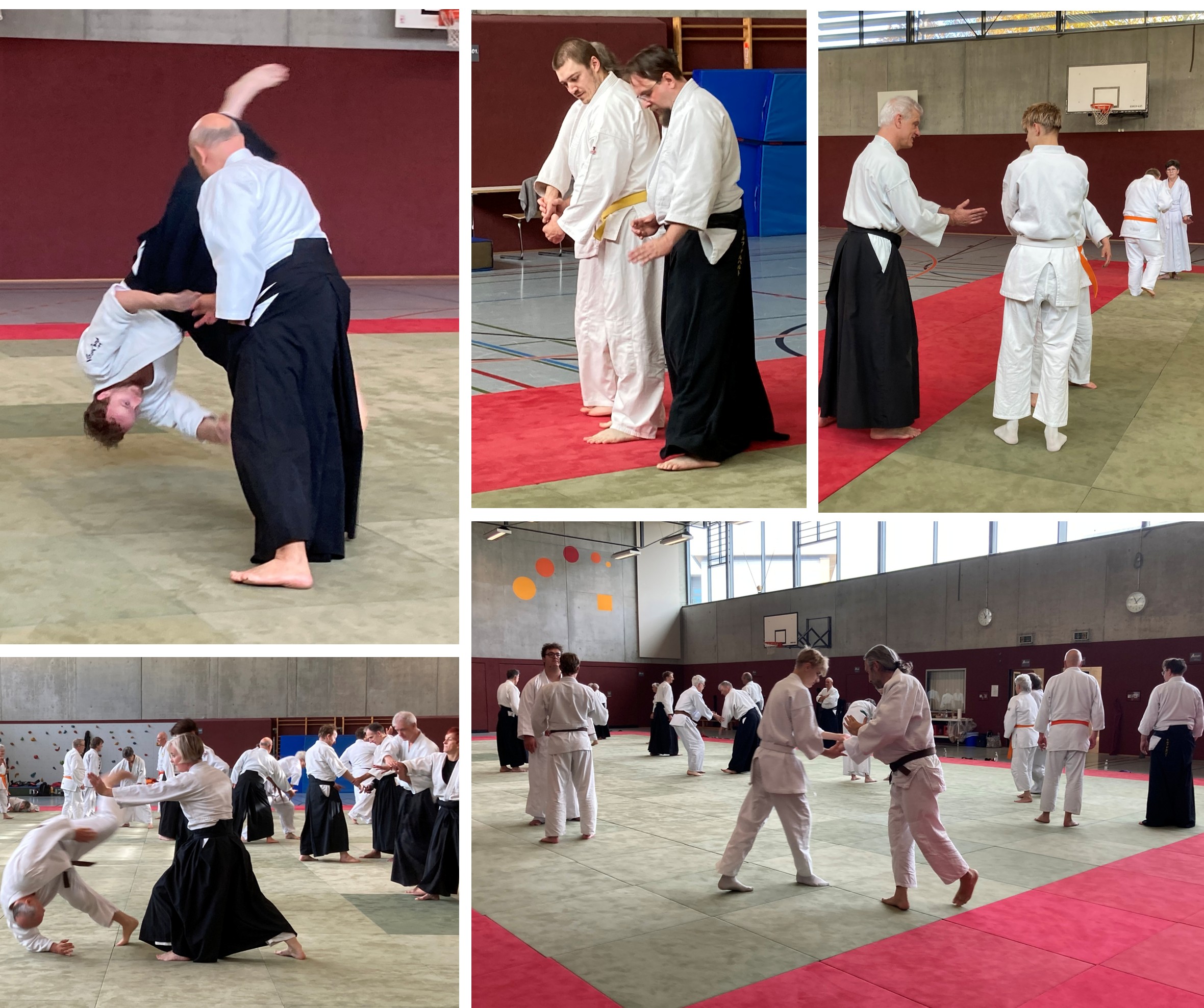 202 10 25 Fotos Biberach